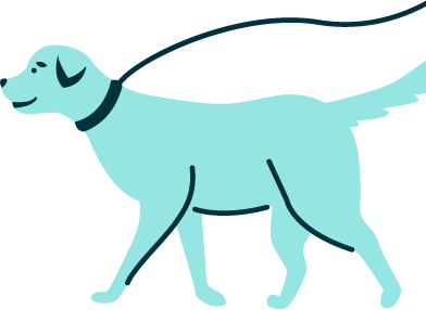Perro Qorapet